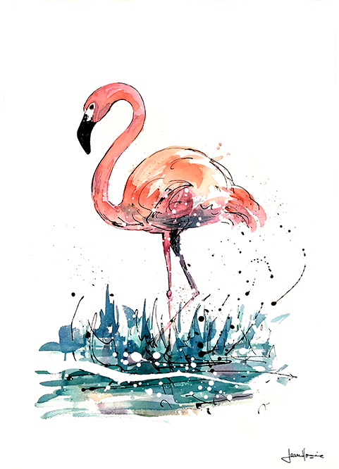 PL ORIGINAL 21018 FLAMENCO